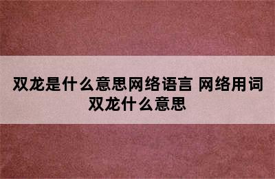 双龙是什么意思网络语言 网络用词双龙什么意思